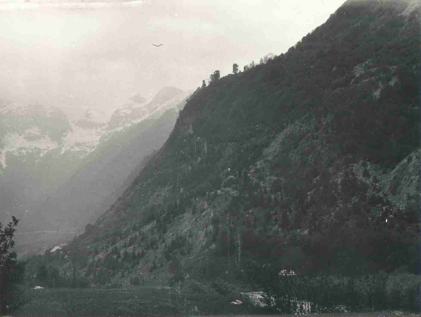 eika image